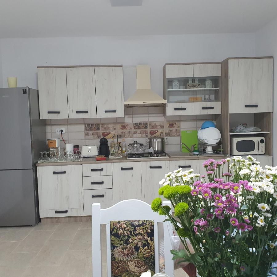 דירות Baltatesti Casa Sofia מראה חיצוני תמונה