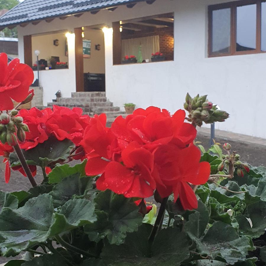 דירות Baltatesti Casa Sofia מראה חיצוני תמונה